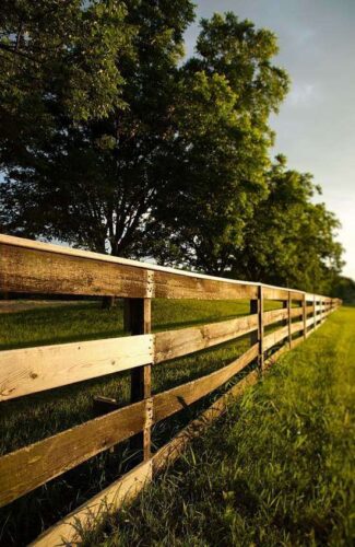 Consider Zoning Laws when Purchasing Homestead Land